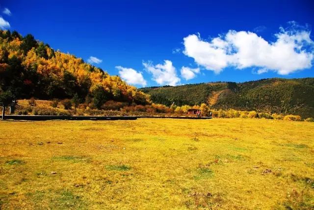 有多少人被国家旅游局列入黑名单 (旅游十大黑幕真实案例)