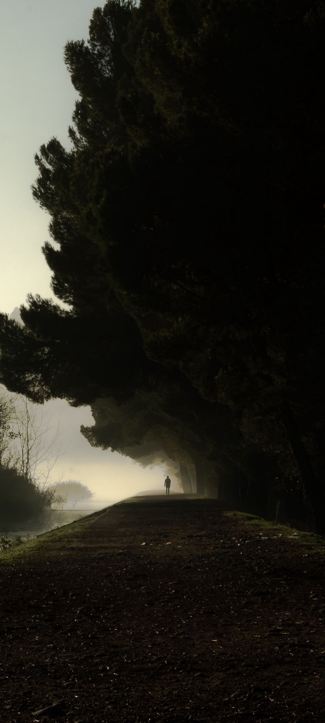 夏日炎炎球场上挥洒汗水,足球壁纸4k超清全面屏绿茵场