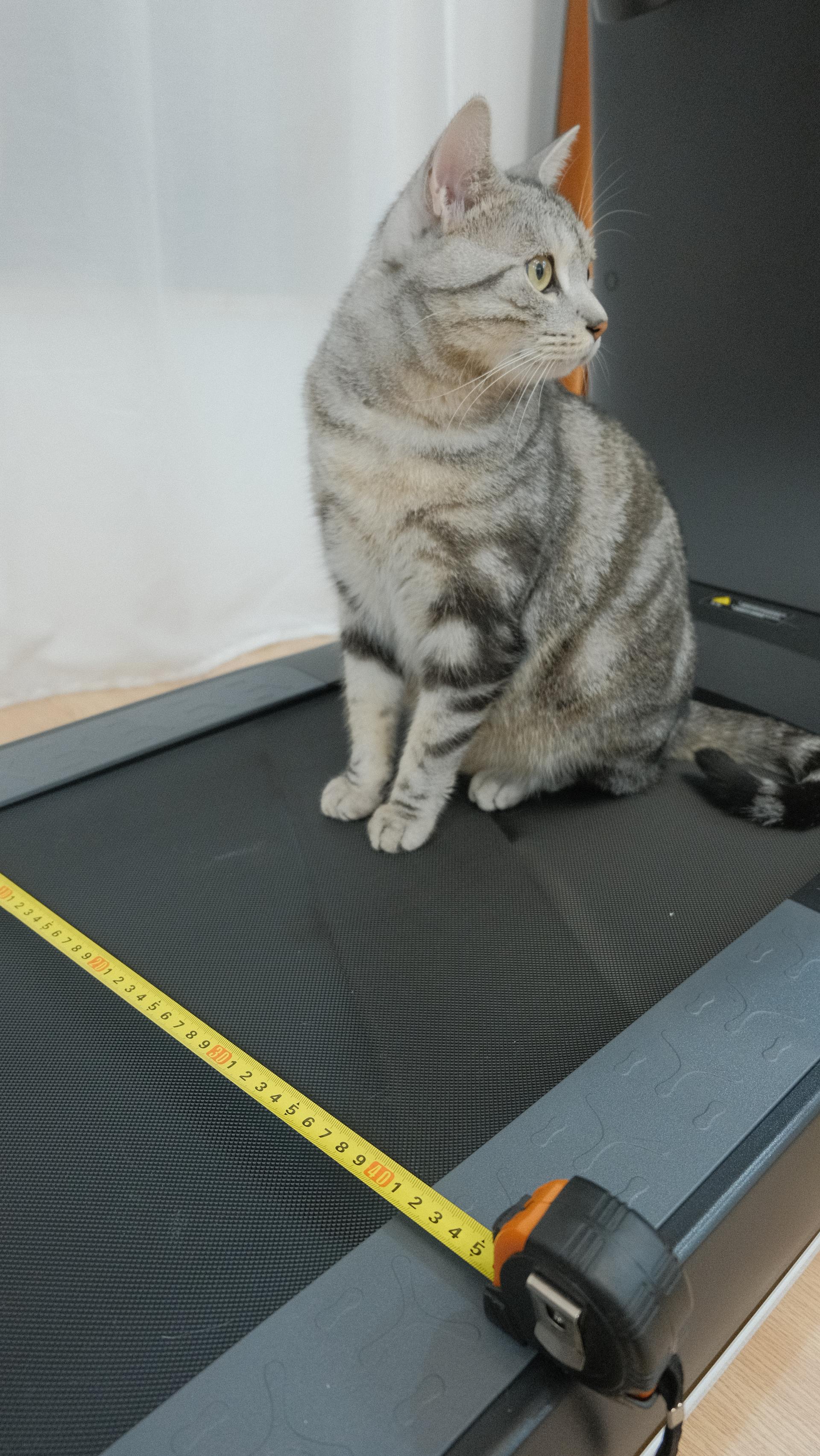 使用家用跑步机的7个建议,跑步有没有必要买跑步机