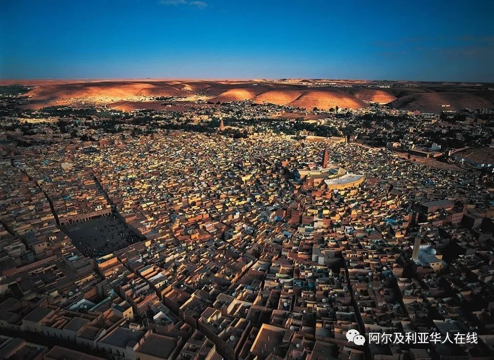 阿尔及利亚华人生活,阿尔及利亚华人的现状