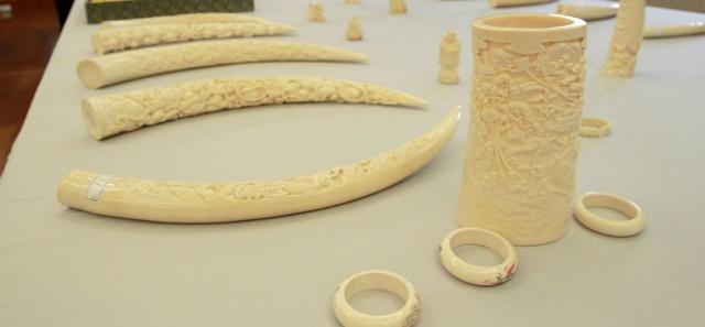 放过大象吧！别再用大象皮车珠子了！