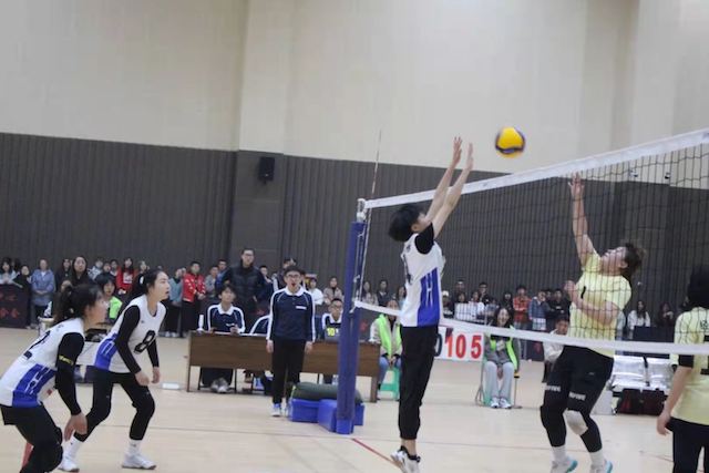 淬炼学子的竞技人生:为每一次努力喝彩