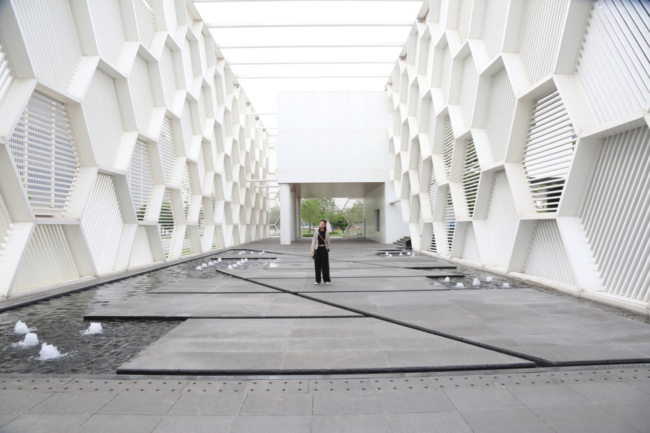 东阿阿胶桃花姬,回归本源找到初心