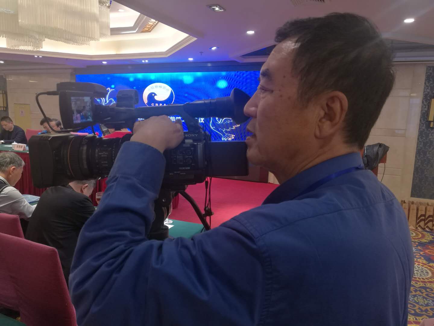 中国信鸽协会各地鸽会,惠州市信鸽协会电话