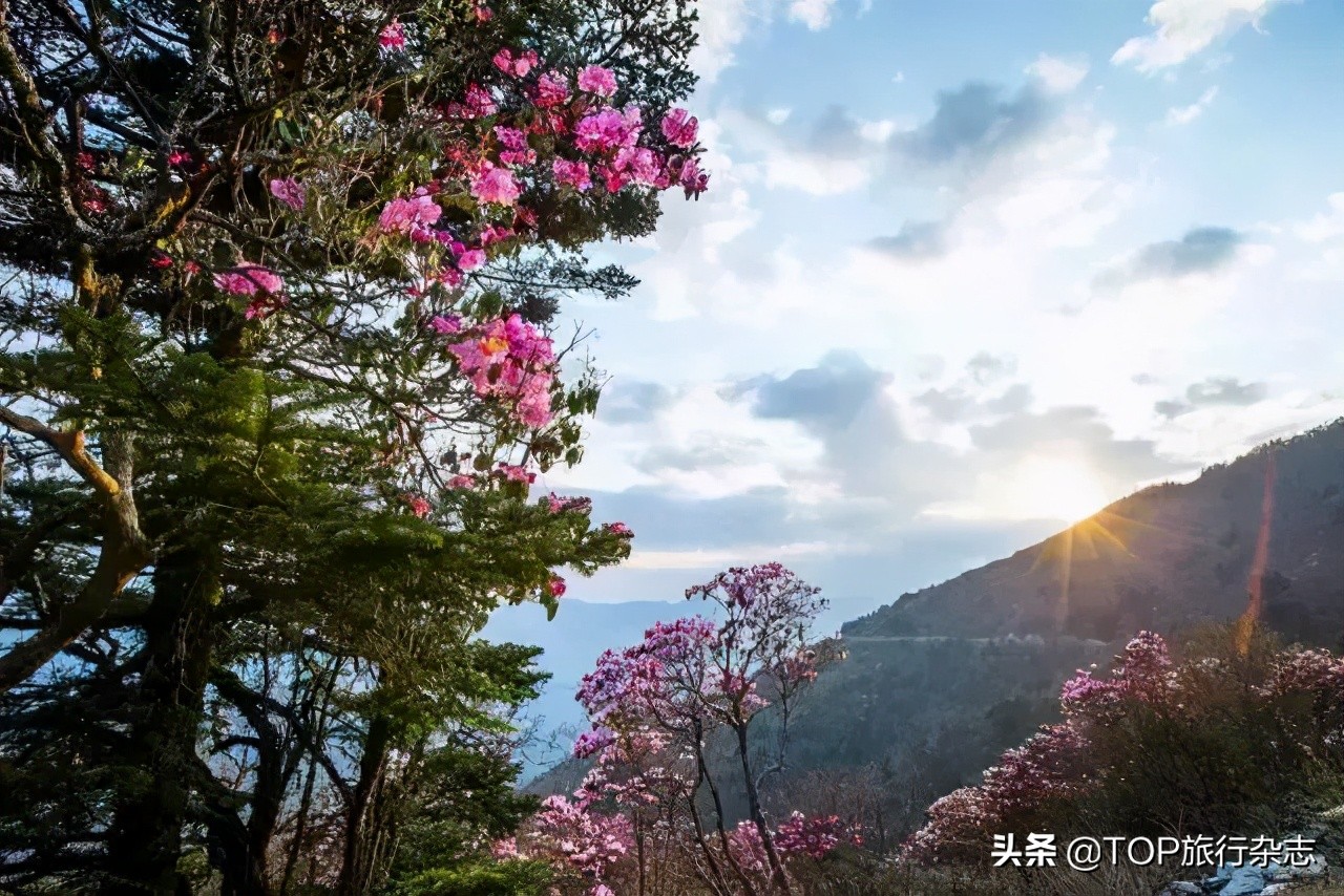 端午湖南人,湖南人夏天避暑去哪里