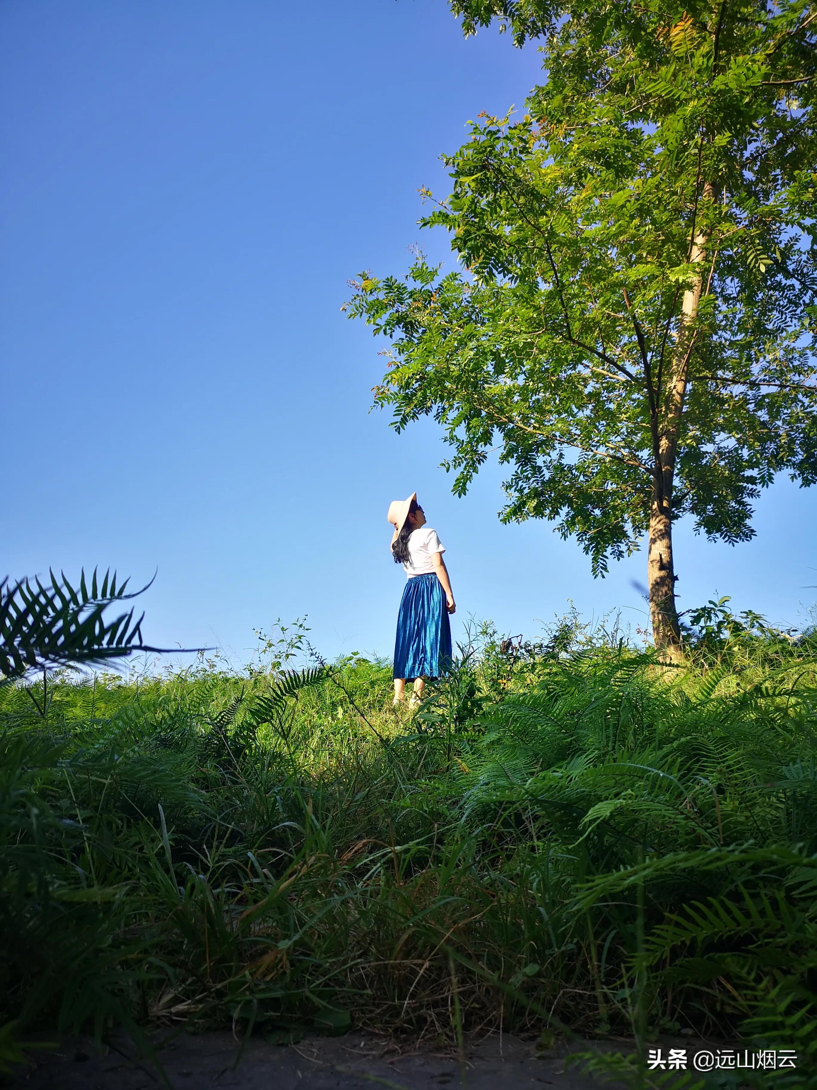 三个方法拍照,自己用自拍杆如何拍照不露杆