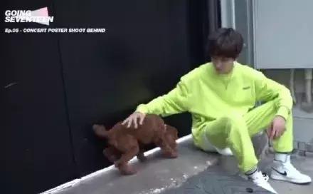 杨幂鹿晗陈伟霆陈立农“绿得发光”，谁才是真正的“人间荧光棒”？