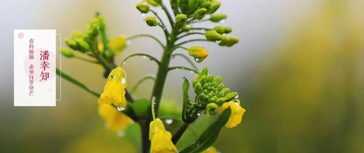 我34岁，被出轨后人生开挂，给你透露3个离婚陷阱