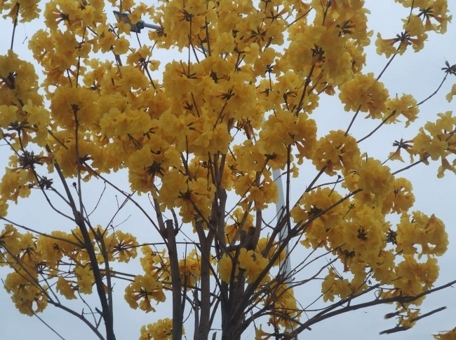 又一次“进京”，却也是走的匆忙......