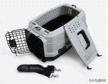 航空公司托运猫咪品种要求,全国猫咪托运公司