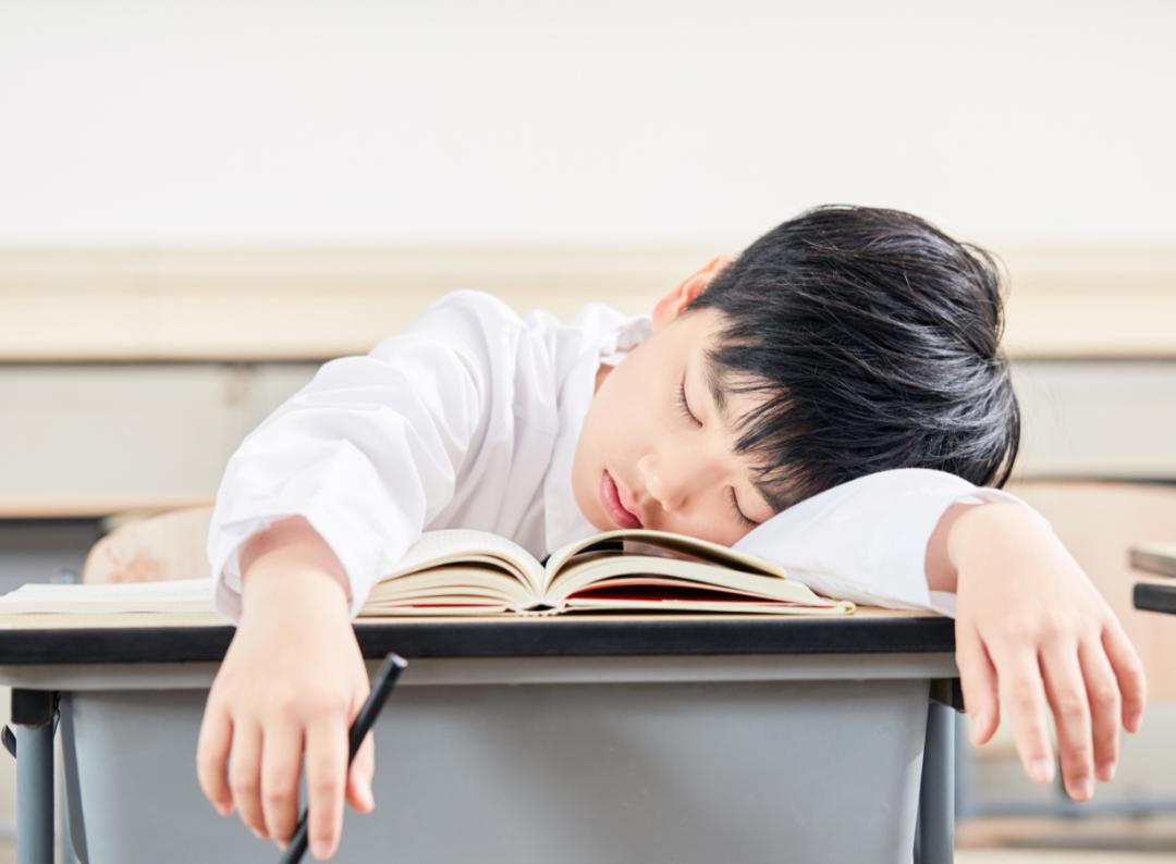 熬夜写作业和早起写作业哪个好,初中生作业写不完怎么复习预习