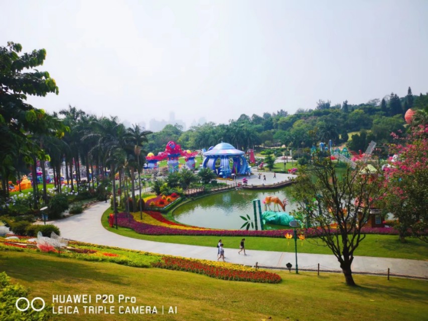 广州云台花园花展,广州云台花园咋样