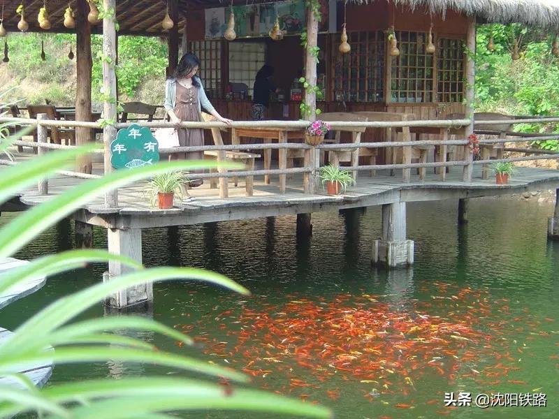 关注！大连站、大连北站增开3对旅客列车，文末有彩蛋！