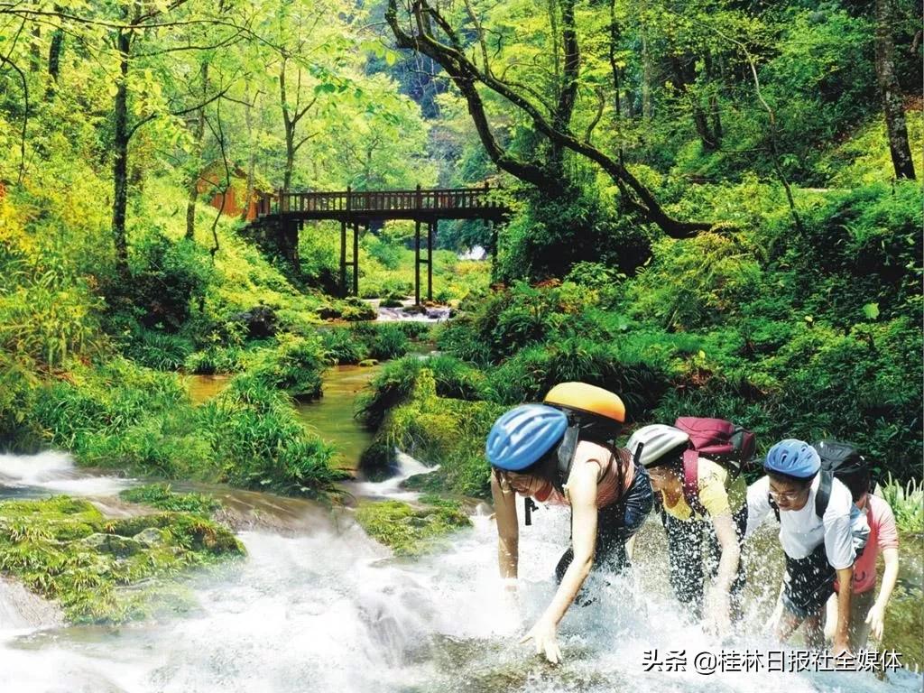 医护人员去桂林旅游,桂林市医护人员免费景区