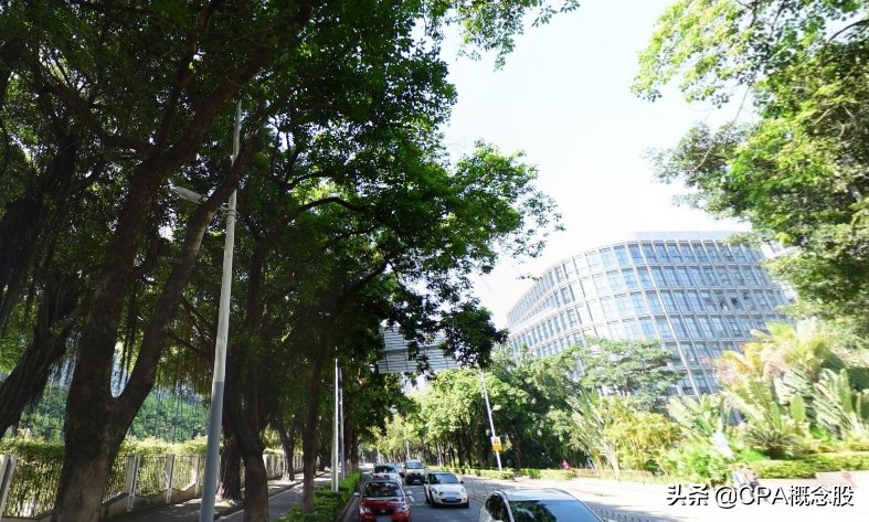 深圳南玻石英材料公司,深圳南玻是指玻璃品种吗