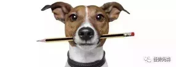 等待客户下单的文案,每天分享类的文案怎么写