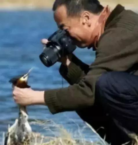 对不起先生，请不要在手机上*飞机打**