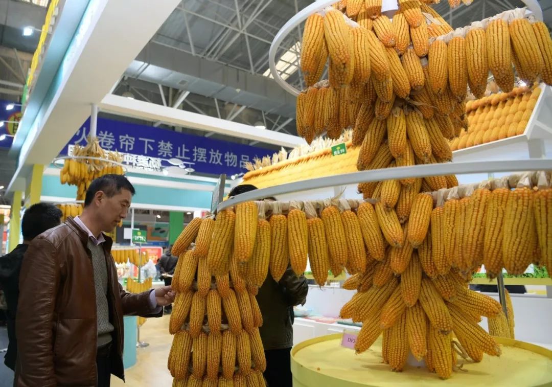 农高会展区展会亮点,今年杨凌农高会的亮点