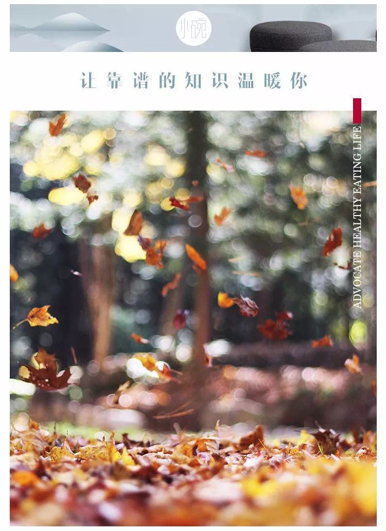 处暑饮食有讲究清补润燥稳入秋,处暑养生全攻略润秋燥消暑湿