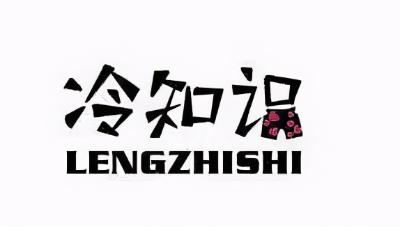 中国第一例肺移植病人,哪个医院能肺移植