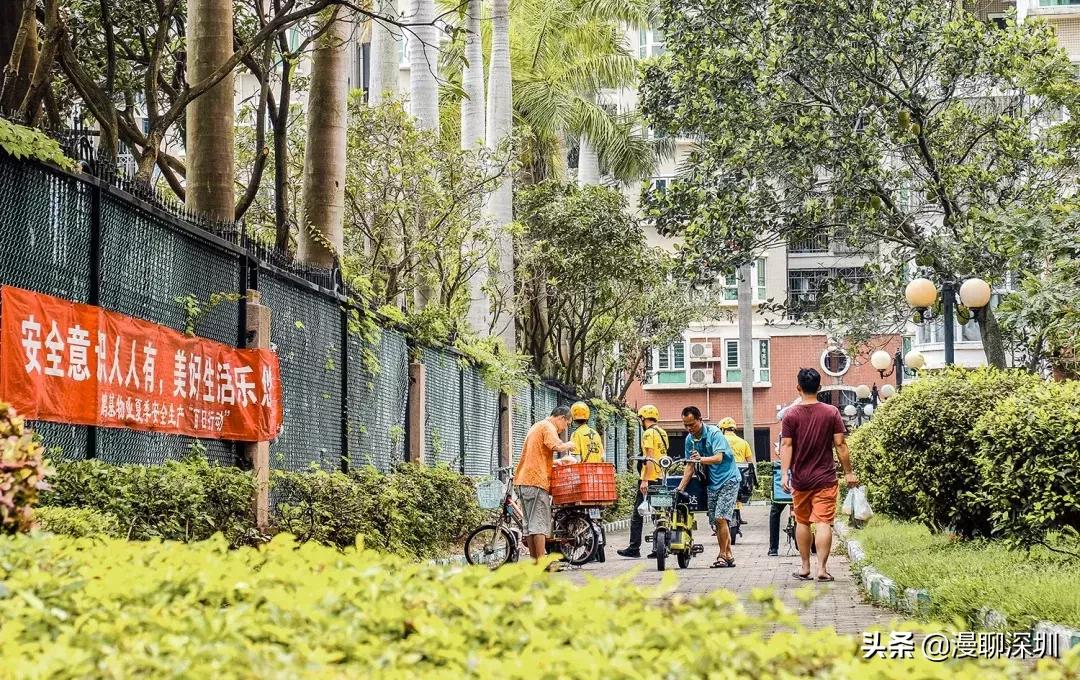 深圳空气中氡含量全国第一,深圳市负氧离子大概是多少