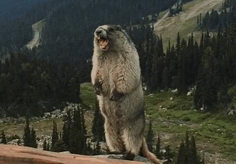 自己动手做绝育,如何在家给自己做绝育