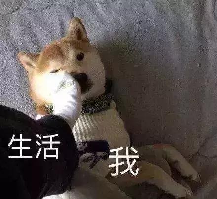 1月1日起这些新规正式实施,1月1日有哪些新规