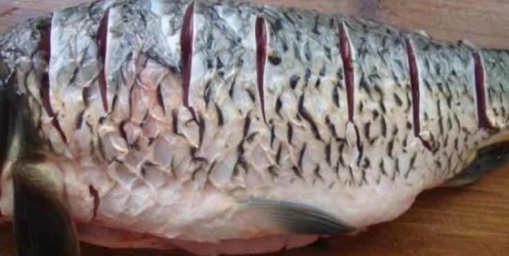 正宗四川烧烤鱼的做法窍门,烤活鱼的做法正宗做法