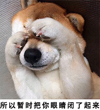 手搓长续航潜水艇,手搓潜水艇