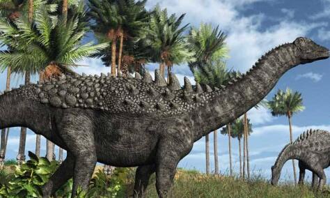 恐龙的种类很多形态更是千奇百怪,世界上所有的恐龙的名字和图片