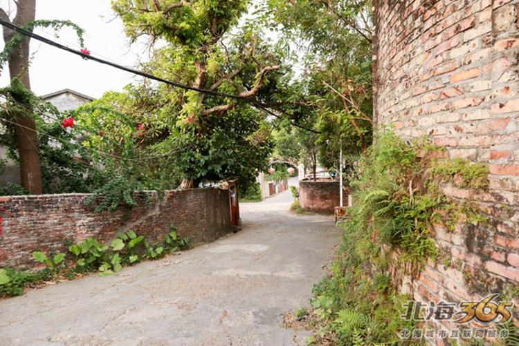 高德往事:重返旧时光,探索李桃栏深院大宅不为人知的过往