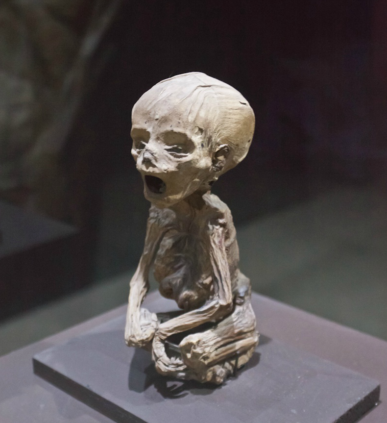 谦益解析,谦益说故事