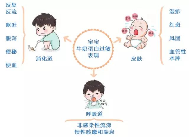 益生菌对过敏体质宝宝有作用吗,益生菌改善过敏体质吗