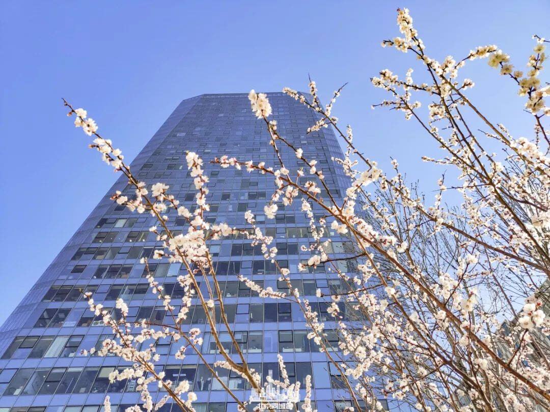 北京西单必去的美食攻略,去北京西单必吃的美食