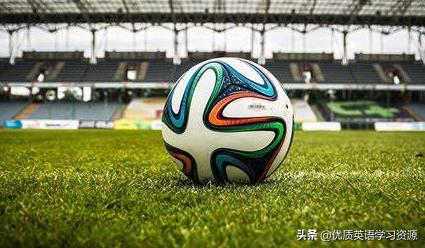 havegot单词趣味记忆,英语havegot与hasgot有什么区别