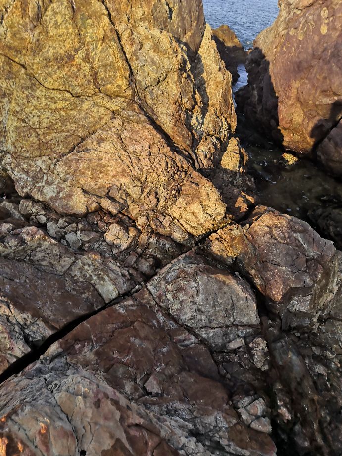 这个中秋你用哪种方式过,这个中秋节你是怎么过的