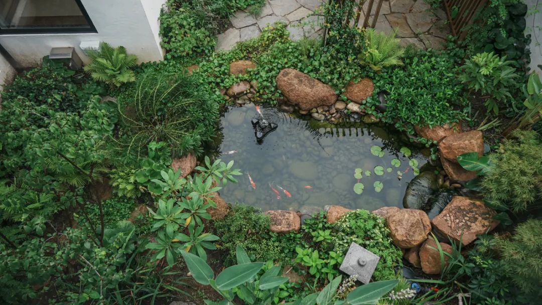 住在上海闹市400平的房子里，花开不败，开窗见池塘，太羡慕了