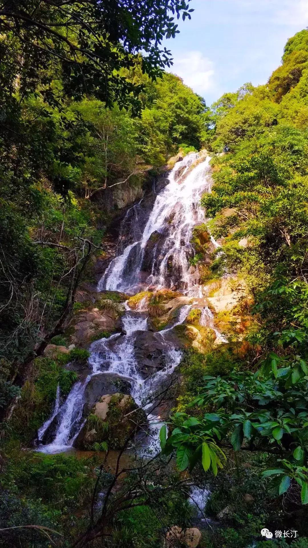 城建频道丨福建长汀发生“蝶变”的背后：用绿色赶跑贫穷廖深洪接受央广国际在线专访……