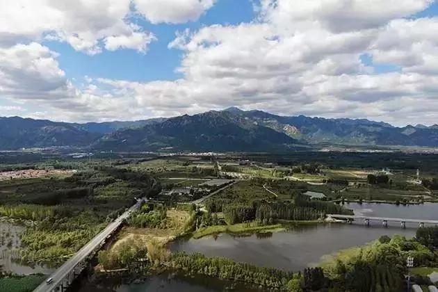 市场上原厂机油是真的原厂吗,原厂机油真的好吗