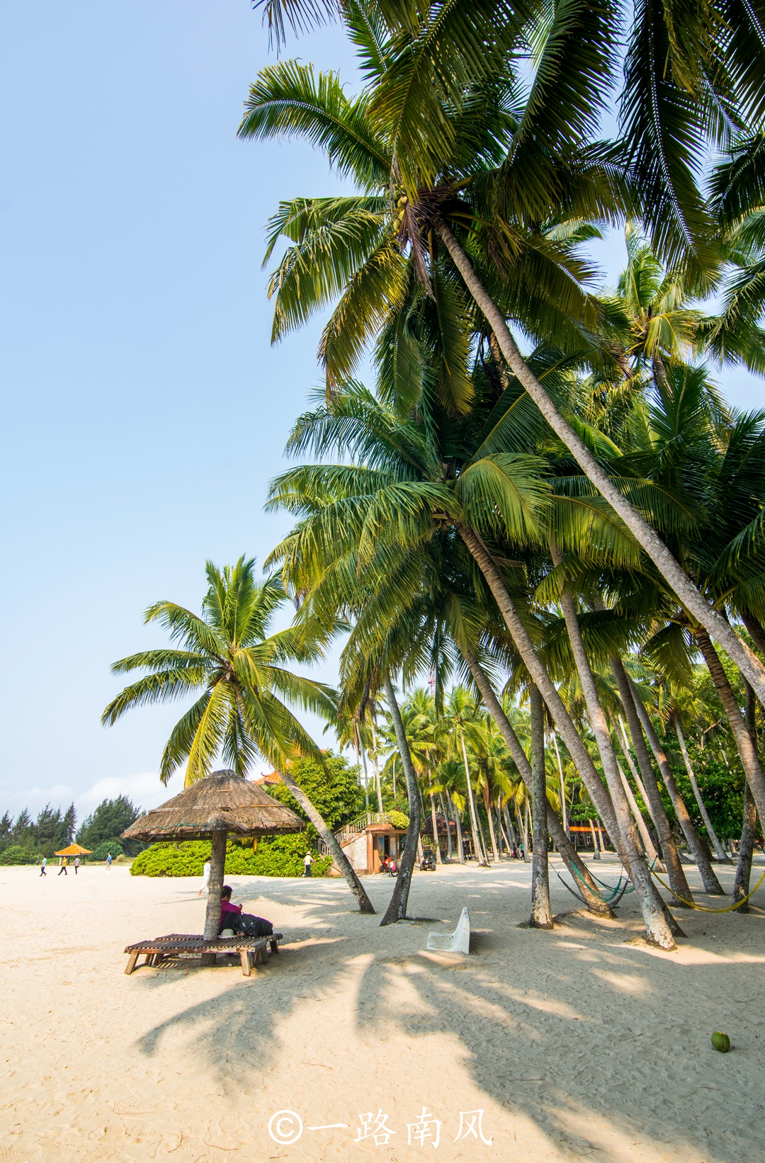 海南最好的椰子小镇,海南最好的海滩小镇