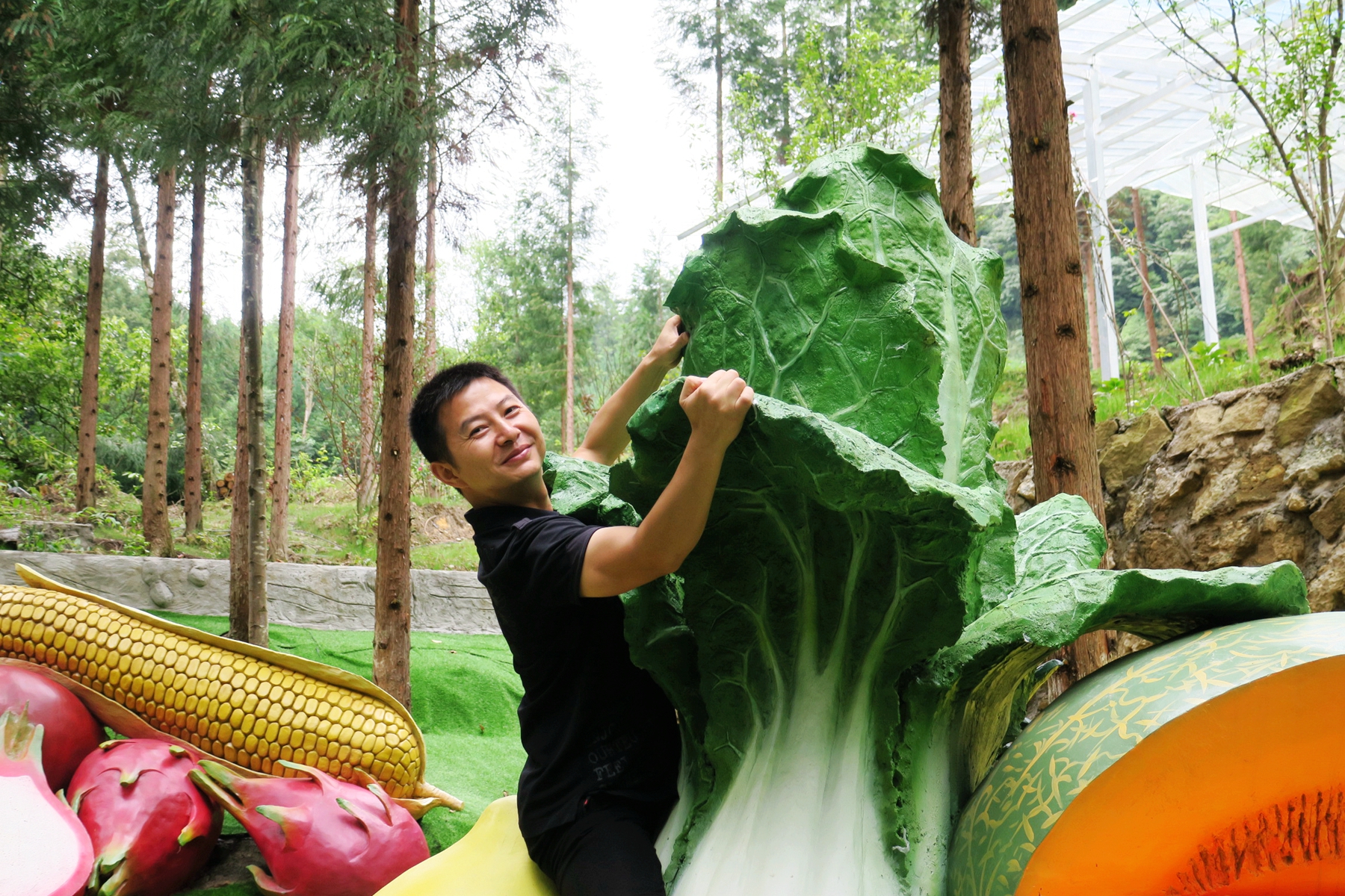 猴山飞瀑,猴山飞瀑旅游区地图