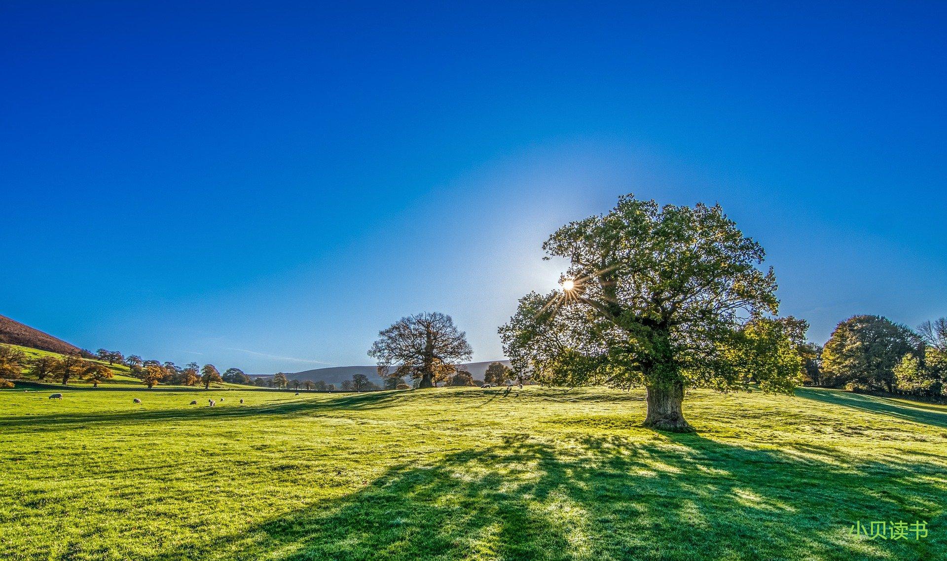 剑来吾为东道主多少章,剑来吾为东道主