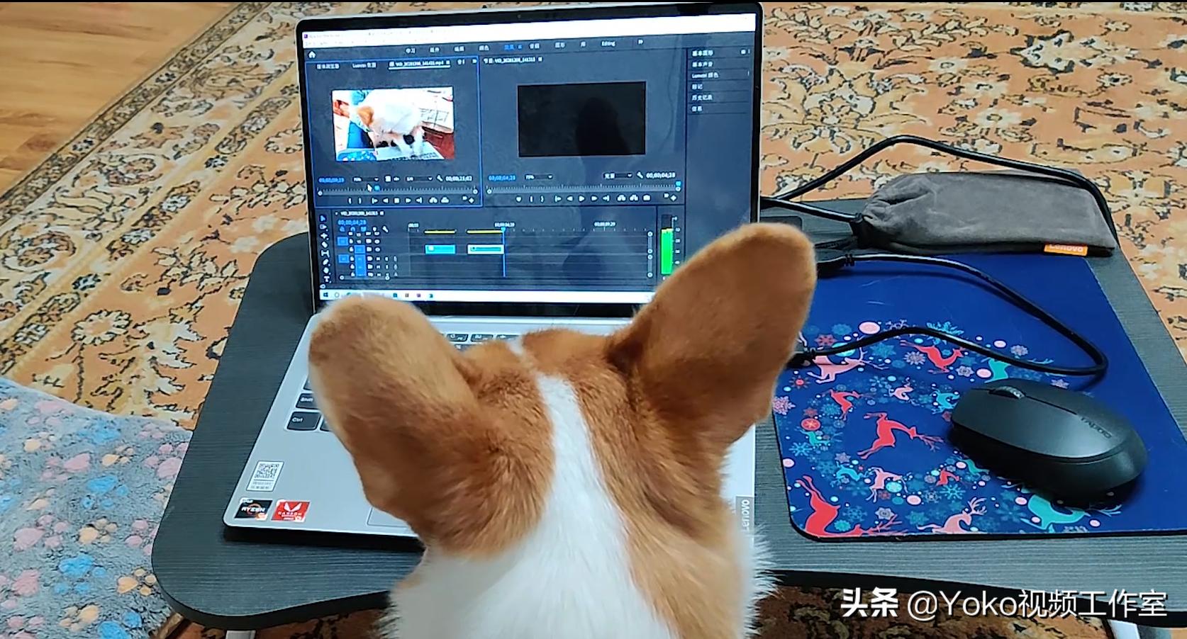 大学生买什么电脑性价比高,大学生买多少钱电脑合适