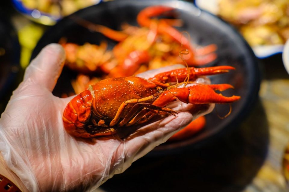 长沙哪家口味虾好吃,长沙口味虾加盟店排行榜