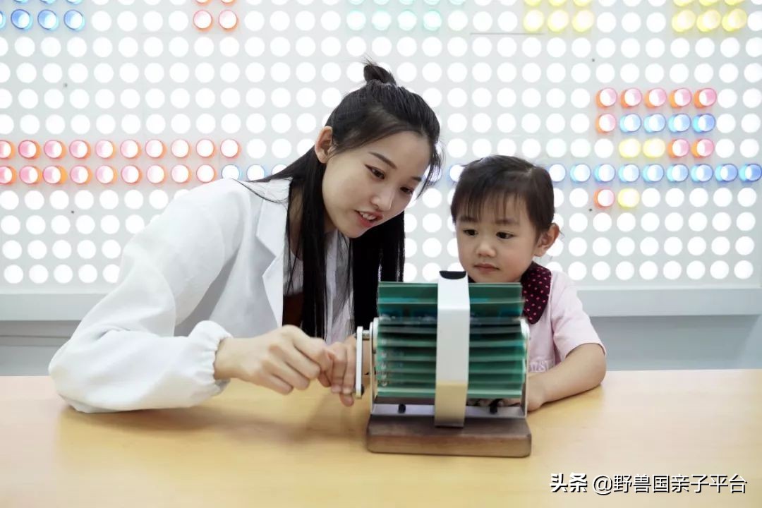 stem教育创始人,stem美国大学