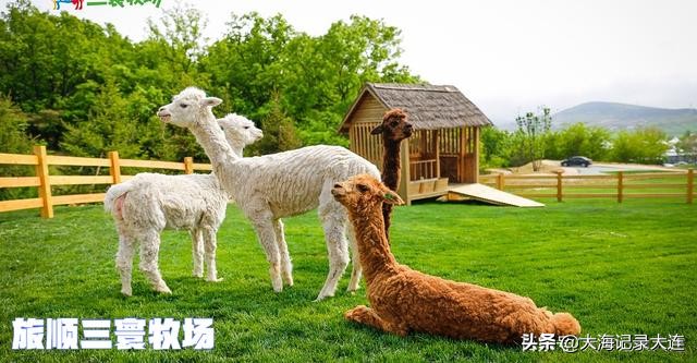 大连旅顺深度游,大连旅顺旅游必去景点排名