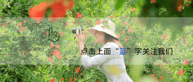 石榴生虫的视频,石榴生虫用什么方法好