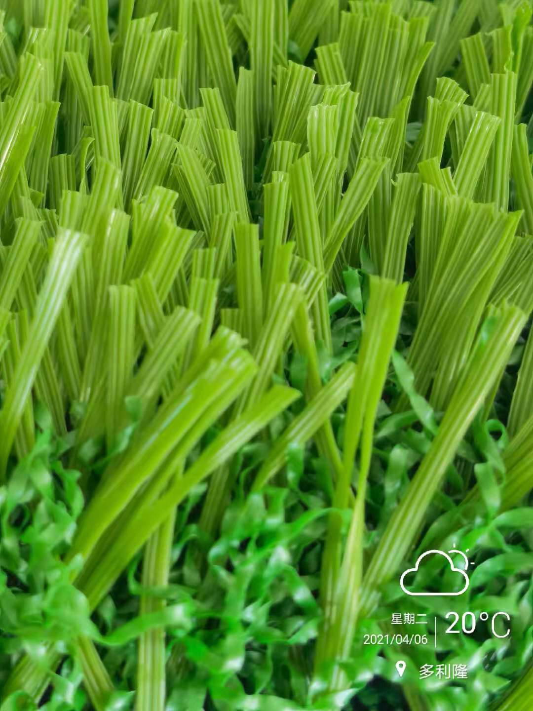 多利隆人造草坪集团有限公司,人工草坪厂家多利隆人造草坪