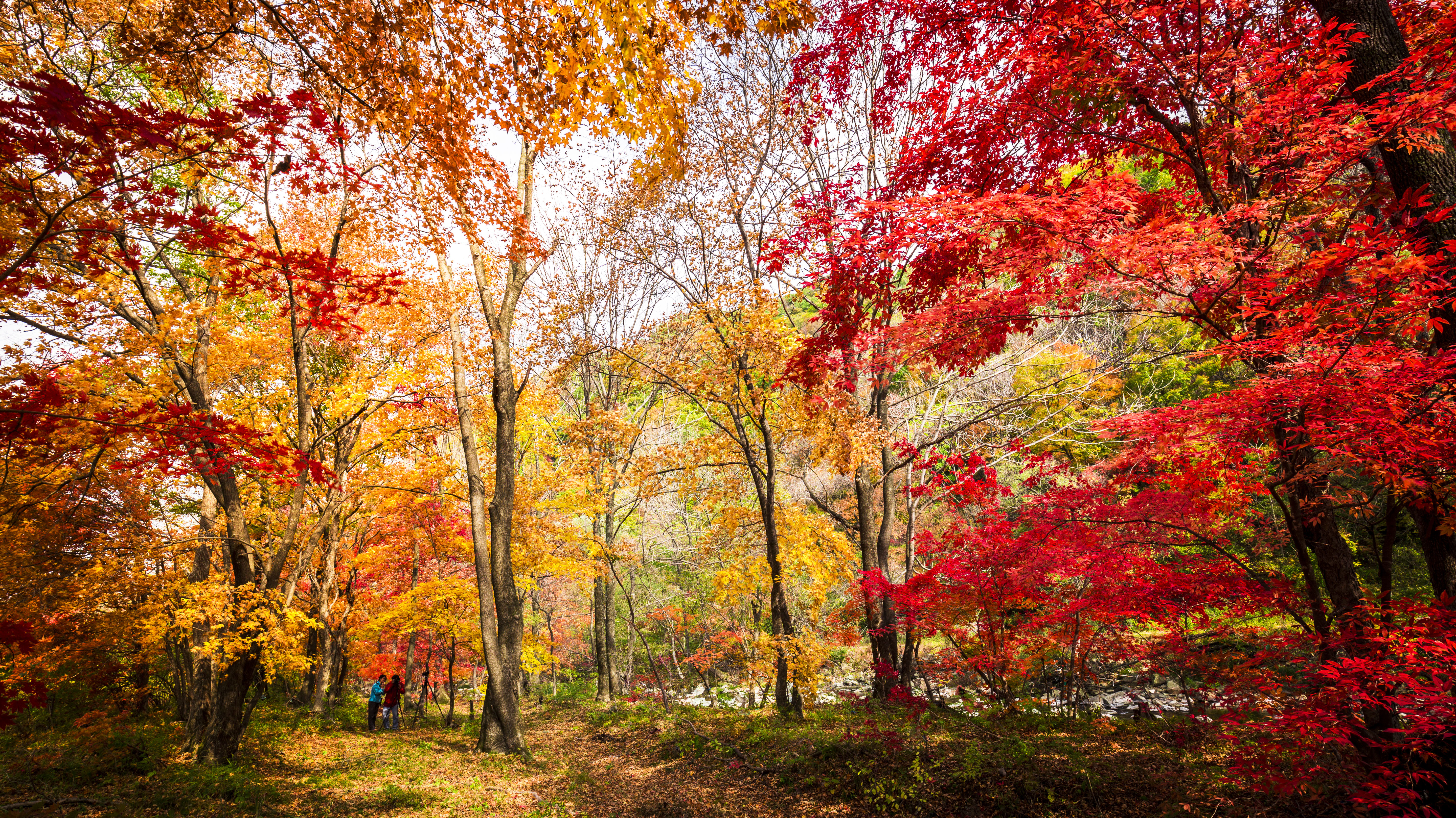 十一游玩胜地,桓仁旅游全攻略