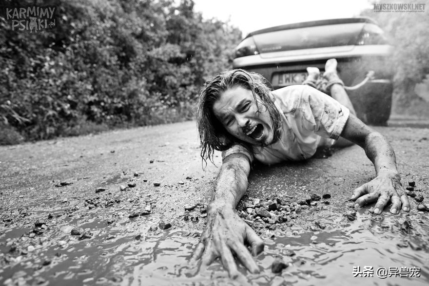 当宠物生病治疗费用太高,宠物生病治疗费有多昂贵